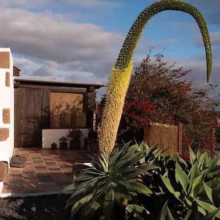 The Sea View Holiday home *